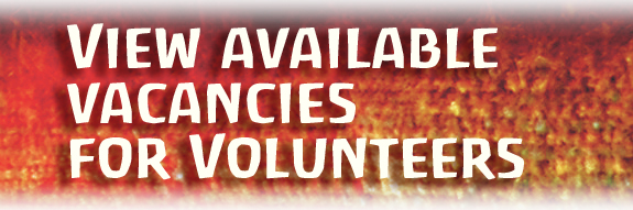 Link to Vacancy Page